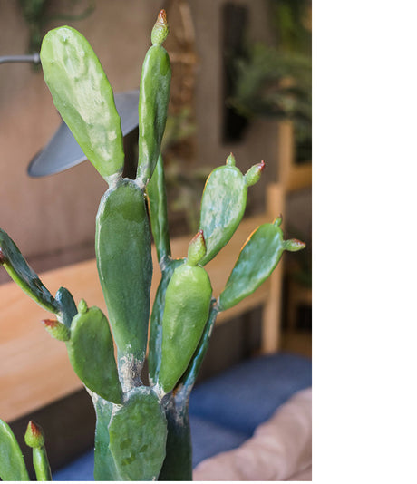 JUHAN Akihiko Lifelike Tropical Bonsai Cactus Decor from JUHAN