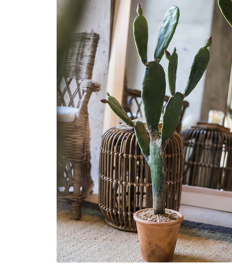 JUHAN Akihiko Lifelike Tropical Bonsai Cactus Decor from JUHAN