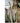 JUHAN Akihiko Lifelike Tropical Bonsai Cactus Decor from JUHAN
