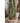 JUHAN Akihiko Lifelike Tropical Bonsai Cactus Decor from JUHAN