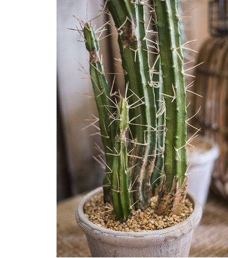JUHAN Akihiko Lifelike Tropical Bonsai Cactus Decor from JUHAN