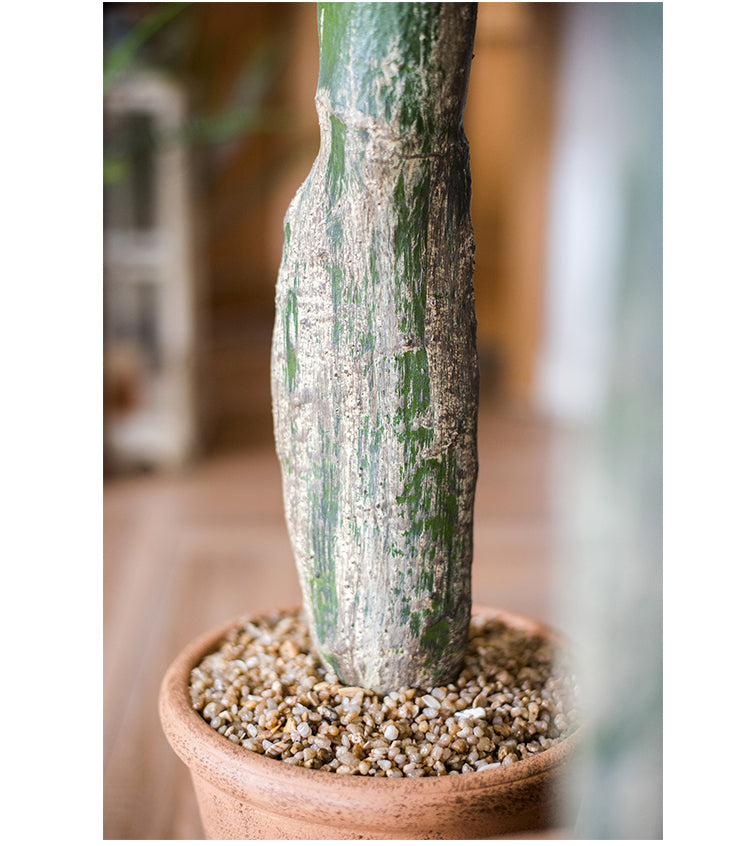 JUHAN Akihiko Lifelike Tropical Bonsai Cactus Decor from JUHAN