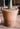 JUHAN Akihiko Lifelike Tropical Bonsai Cactus Decor from JUHAN
