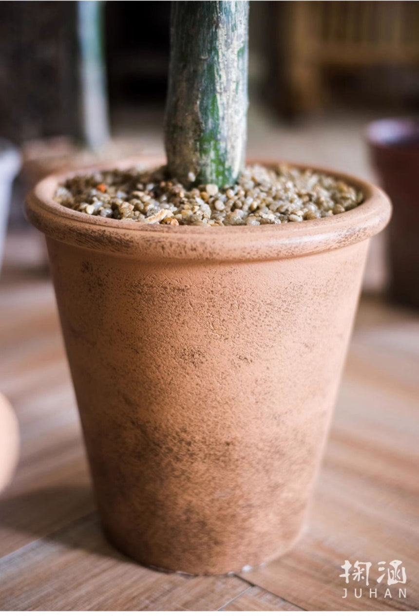 JUHAN Akihiko Lifelike Tropical Bonsai Cactus Decor from JUHAN