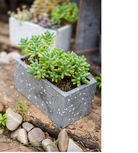 JUHAN Alhambra Creative Geometry Art Flowerpot from JUHAN