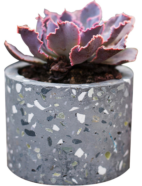 JUHAN Alhambra Creative Geometry Art Flowerpot from JUHAN