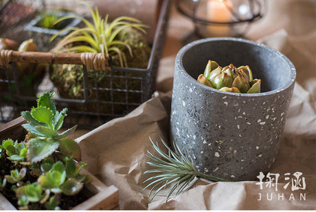 JUHAN Alhambra Creative Geometry Art Flowerpot from JUHAN
