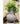 JUHAN Alhambra Rustic Vintage Ceramic Flowerpot from JUHAN