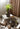 JUHAN Alhambra Rustic Vintage Ceramic Flowerpot from JUHAN