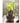 JUHAN Alhambra Rustic Vintage Ceramic Flowerpot from JUHAN