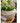 JUHAN Amara Artistic Eco-Friendly Planting Ware from JUHAN
