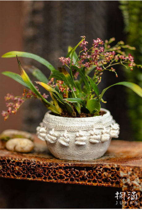 JUHAN Amara Artistic Eco-Friendly Planting Ware from JUHAN