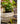 JUHAN Amara Artistic Eco-Friendly Planting Ware from JUHAN