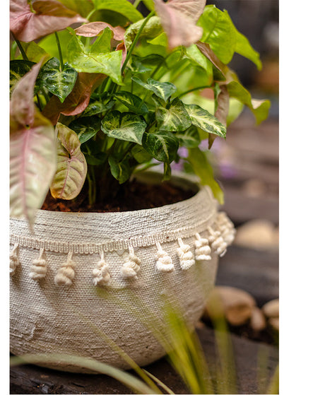 JUHAN Amara Artistic Eco-Friendly Planting Ware from JUHAN
