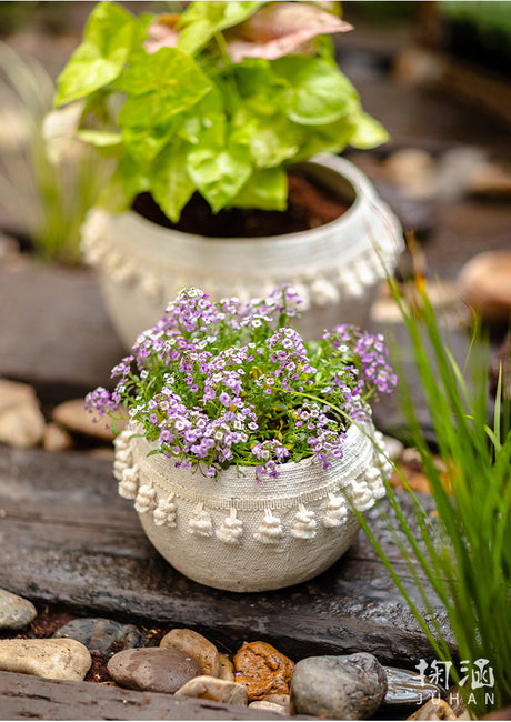JUHAN Amara Artistic Eco-Friendly Planting Ware from JUHAN