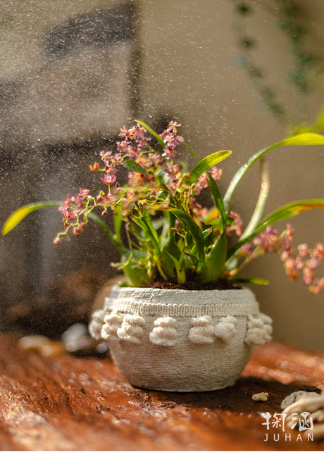 JUHAN Amara Artistic Eco-Friendly Planting Ware from JUHAN