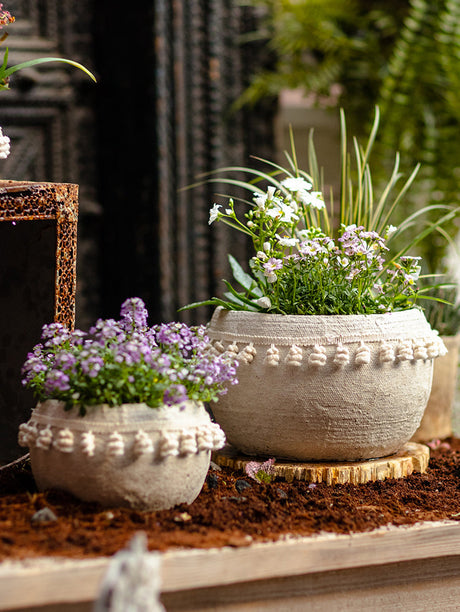 JUHAN Amara Artistic Eco-Friendly Planting Ware from JUHAN