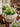 JUHAN Amara Artistic Eco-Friendly Planting Ware from JUHAN