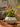 JUHAN Amara Artistic Eco-Friendly Planting Ware from JUHAN