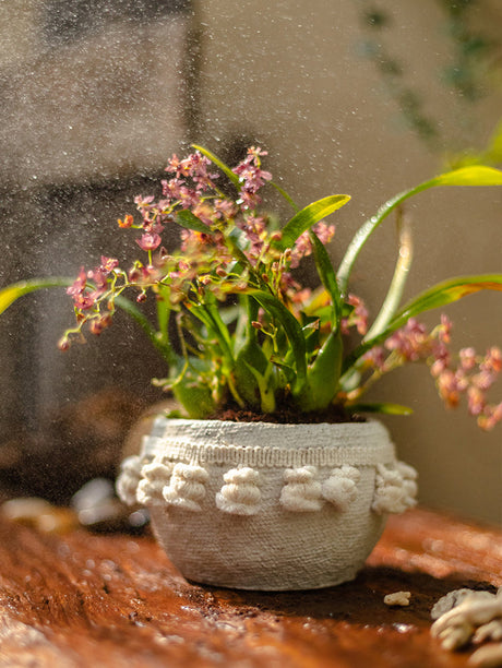 JUHAN Amara Artistic Eco-Friendly Planting Ware from JUHAN