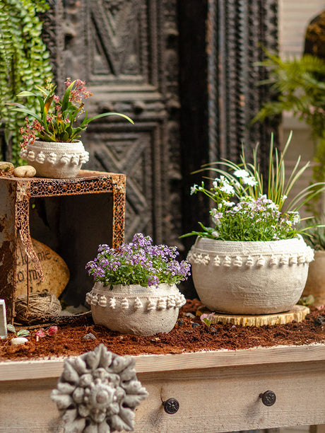 JUHAN Amara Artistic Eco-Friendly Planting Ware from JUHAN