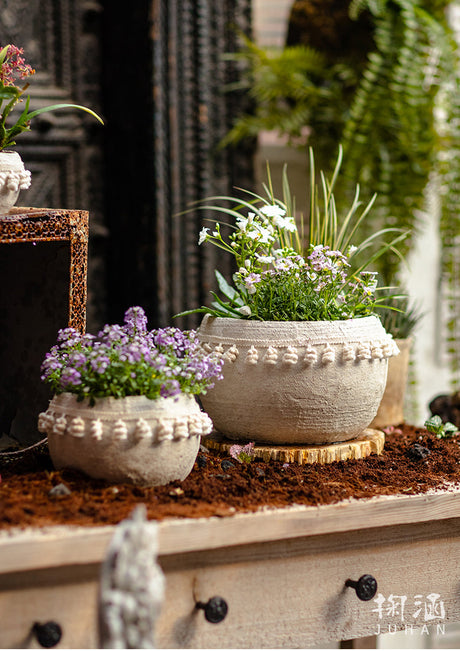 JUHAN Amara Artistic Eco-Friendly Planting Ware from JUHAN