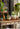 JUHAN Amara Artistic Eco-Friendly Planting Ware from JUHAN