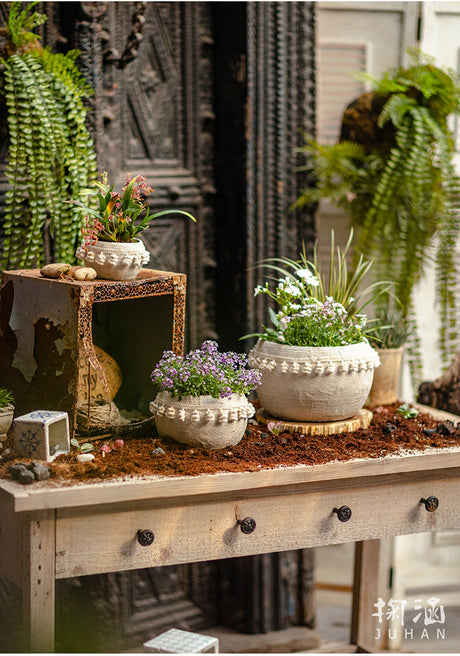 JUHAN Amara Artistic Eco-Friendly Planting Ware from JUHAN