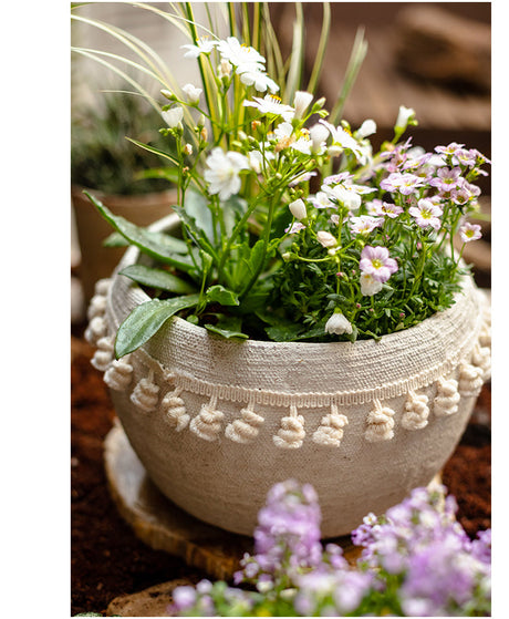 JUHAN Amara Artistic Eco-Friendly Planting Ware from JUHAN