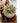JUHAN Amara Artistic Eco-Friendly Planting Ware from JUHAN