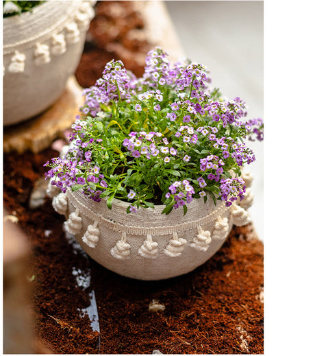 JUHAN Amara Artistic Eco-Friendly Planting Ware from JUHAN