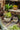 JUHAN Amara Artistic Eco-Friendly Planting Ware from JUHAN