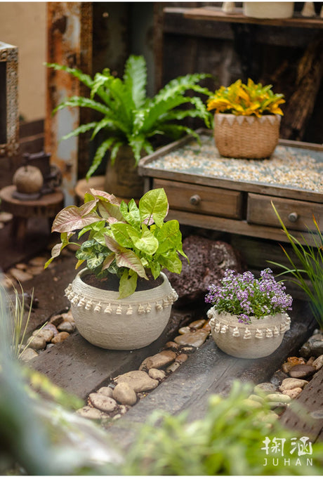 JUHAN Amara Artistic Eco-Friendly Planting Ware from JUHAN