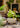 JUHAN Amara Artistic Eco-Friendly Planting Ware from JUHAN