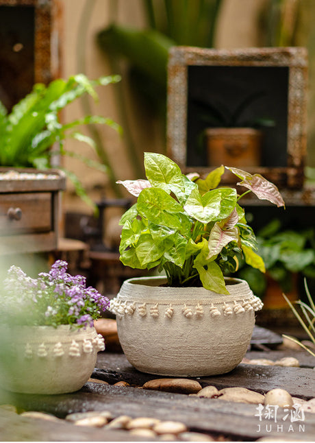 JUHAN Amara Artistic Eco-Friendly Planting Ware from JUHAN