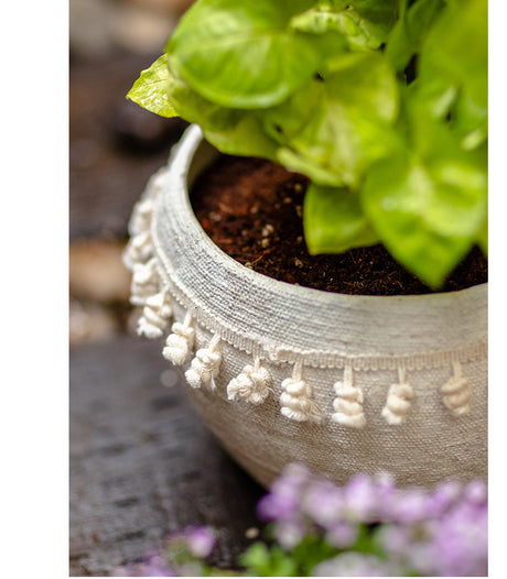 JUHAN Amara Artistic Eco-Friendly Planting Ware from JUHAN