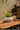 JUHAN Amara Artistic Eco-Friendly Planting Ware from JUHAN
