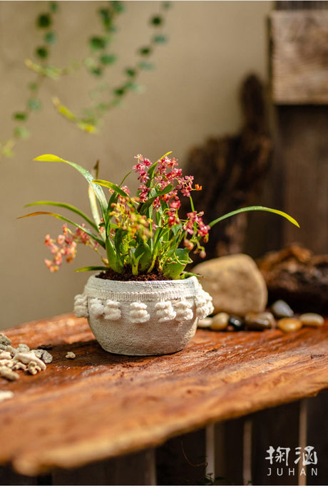 JUHAN Amara Artistic Eco-Friendly Planting Ware from JUHAN