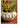 JUHAN Amara Artistic Eco-Friendly Planting Ware from JUHAN