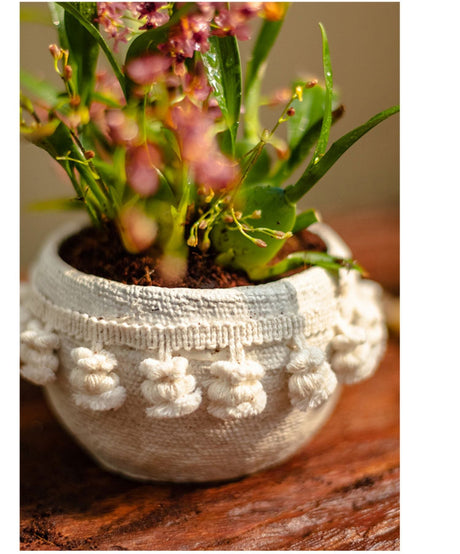 JUHAN Amara Artistic Eco-Friendly Planting Ware from JUHAN