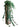 JUHAN Amaya Lush Decorative Vine Climbing Wall Green Plant from JUHAN