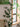JUHAN Amaya Lush Decorative Vine Climbing Wall Green Plant from JUHAN