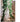JUHAN Amaya Lush Decorative Vine Climbing Wall Green Plant from JUHAN