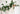 JUHAN Amaya Lush Decorative Vine Climbing Wall Green Plant from JUHAN