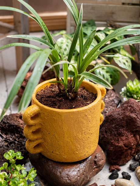 JUHAN Araceli Elegant Cement Flowerpot Decor from JUHAN