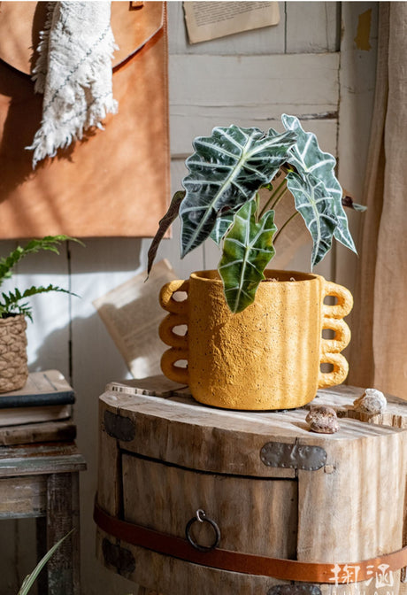 JUHAN Araceli Elegant Cement Flowerpot Decor from JUHAN