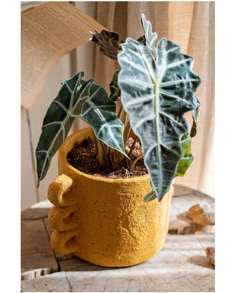 JUHAN Araceli Elegant Cement Flowerpot Decor from JUHAN