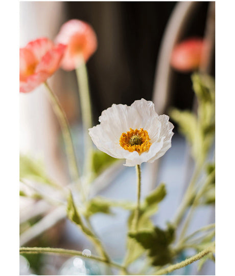 JUHAN Astrid Lush Dazzling Puppet Flower Arrangement from JUHAN