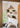 JUHAN Aveline Elegant Solid Wood Partition Wall from JUHAN