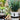 JUHAN Aveline Vintage Garden Ornament Extra-Large Flower Pot from JUHAN